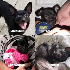 Check out my closet!